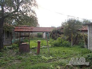image_12
