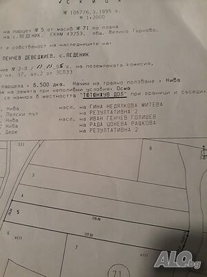 image_5