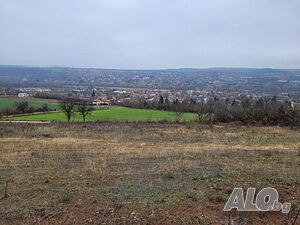 image_7