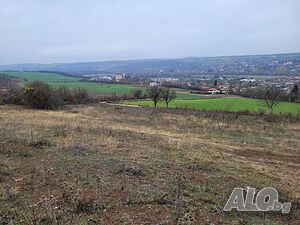 image_8