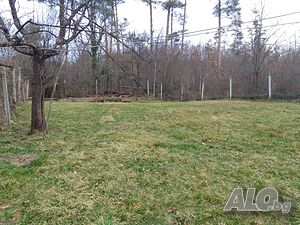 image_15