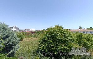 image_14