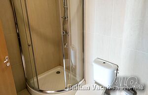 image_12