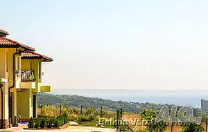 image_11