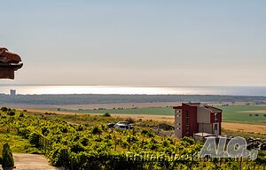 image_12