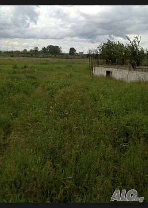 image_6