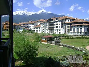 image_11