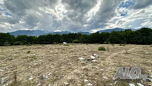image_10