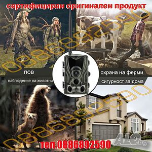 image_3