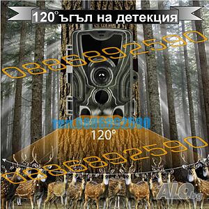 image_4