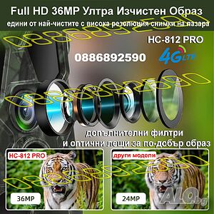 image_7