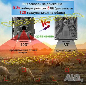 image_11