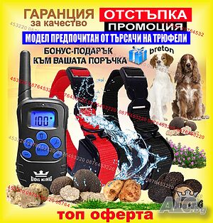 Електронен нашийник за куче, водоустойчив, презареждащ, команди с ток