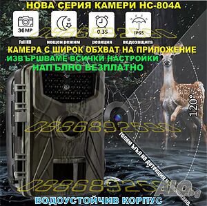 image_5