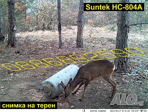 image_6