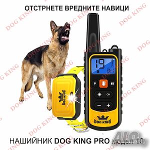 image_4