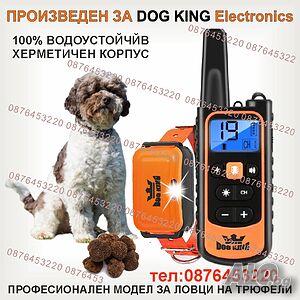 image_7
