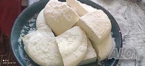 Млечни продукти