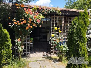 image_10