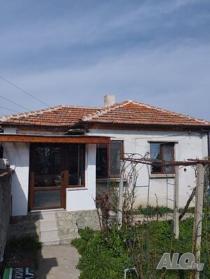 image_7
