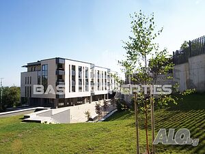 image_11