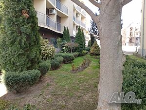 image_24
