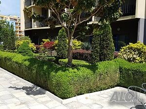 image_22
