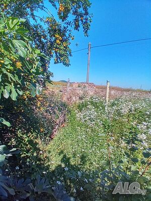 image_11