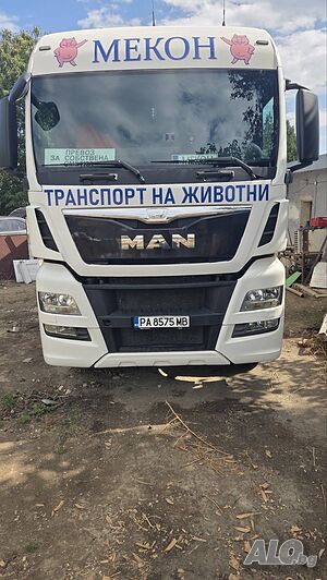 image_2