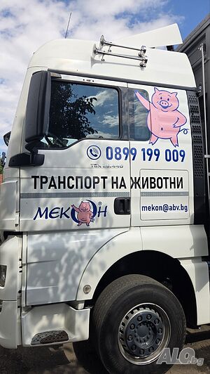 image_4