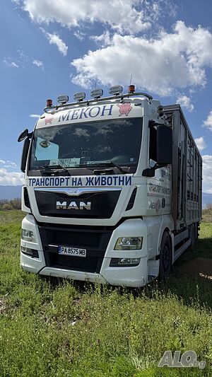 Транспорт и Изкупуване на животни
