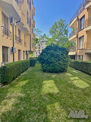 image_8