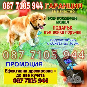 image_12