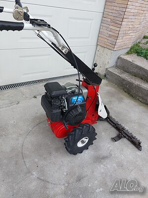 image_8