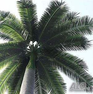 image_2