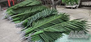 image_3