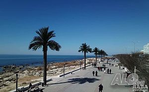 image_6