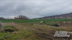 image_7