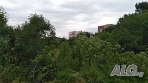 image_7