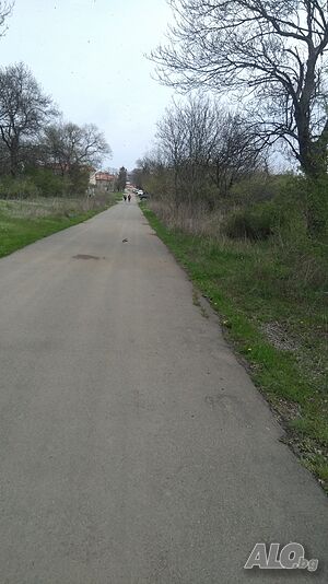 image_5