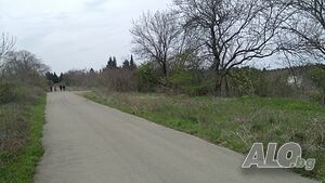 image_7