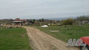 image_3