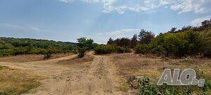 image_6