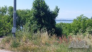 image_10
