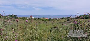 image_11
