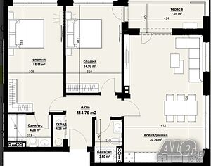 image_5