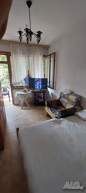 image_6