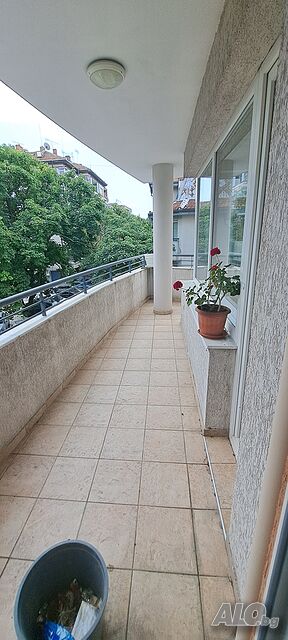 image_5