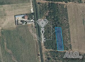 Земеделски имот 1 300 кв.м на границата на регулацията, с. Цалапица, обл. Пловдив