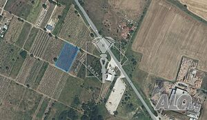 Продава се поддържано лозе 4001 кв.м в Пловдив, кв. Прослав - до Околовръстното шосе